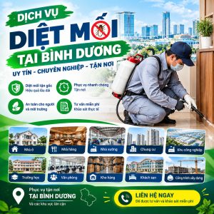 Dịch Vụ Diệt Mối TP.HCM – Diệt Mối Tận Nơi, Khảo Sát Và Xử Lý