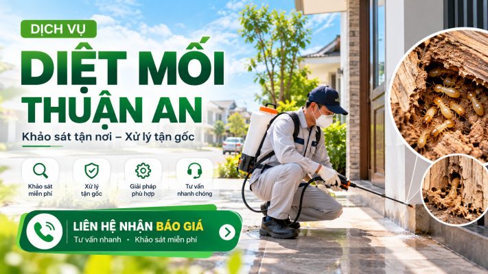 dich vu diet moi thuan an